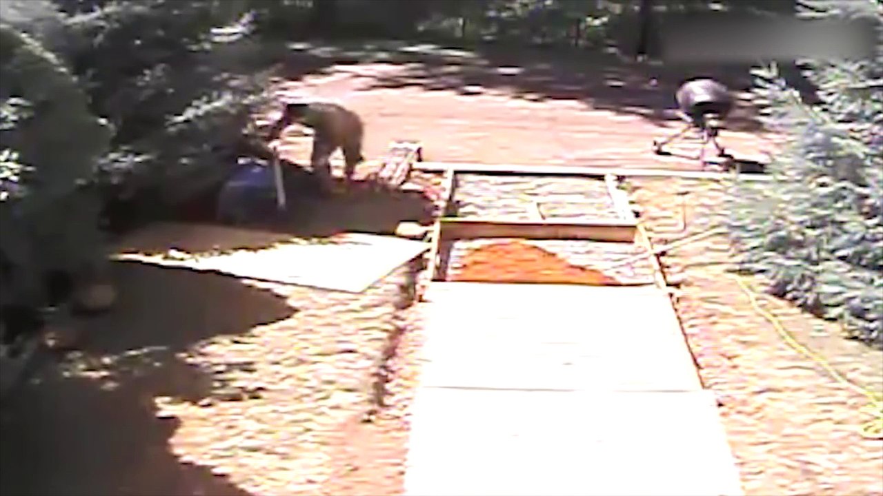 Bu görüntüler izlenme rekoru kırıyor!