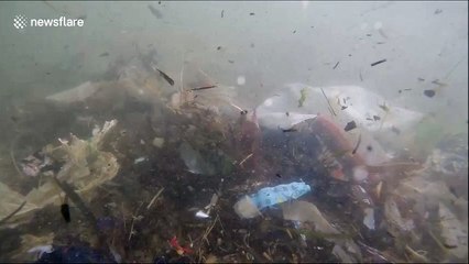Ockhi cyclone dumps tonnes of plastic waste, chokes Arabian sea