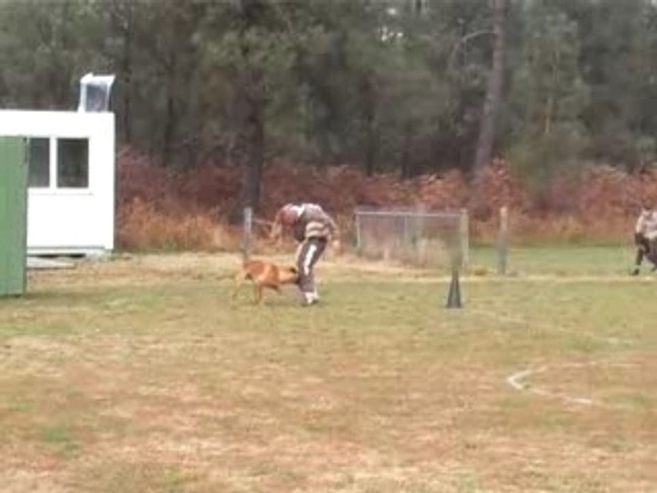 MOV022