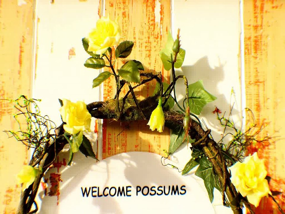 possum lodge Motels fiordland