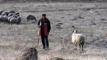 Besiciler kar yağmamasına seviniyor - BİTLİS