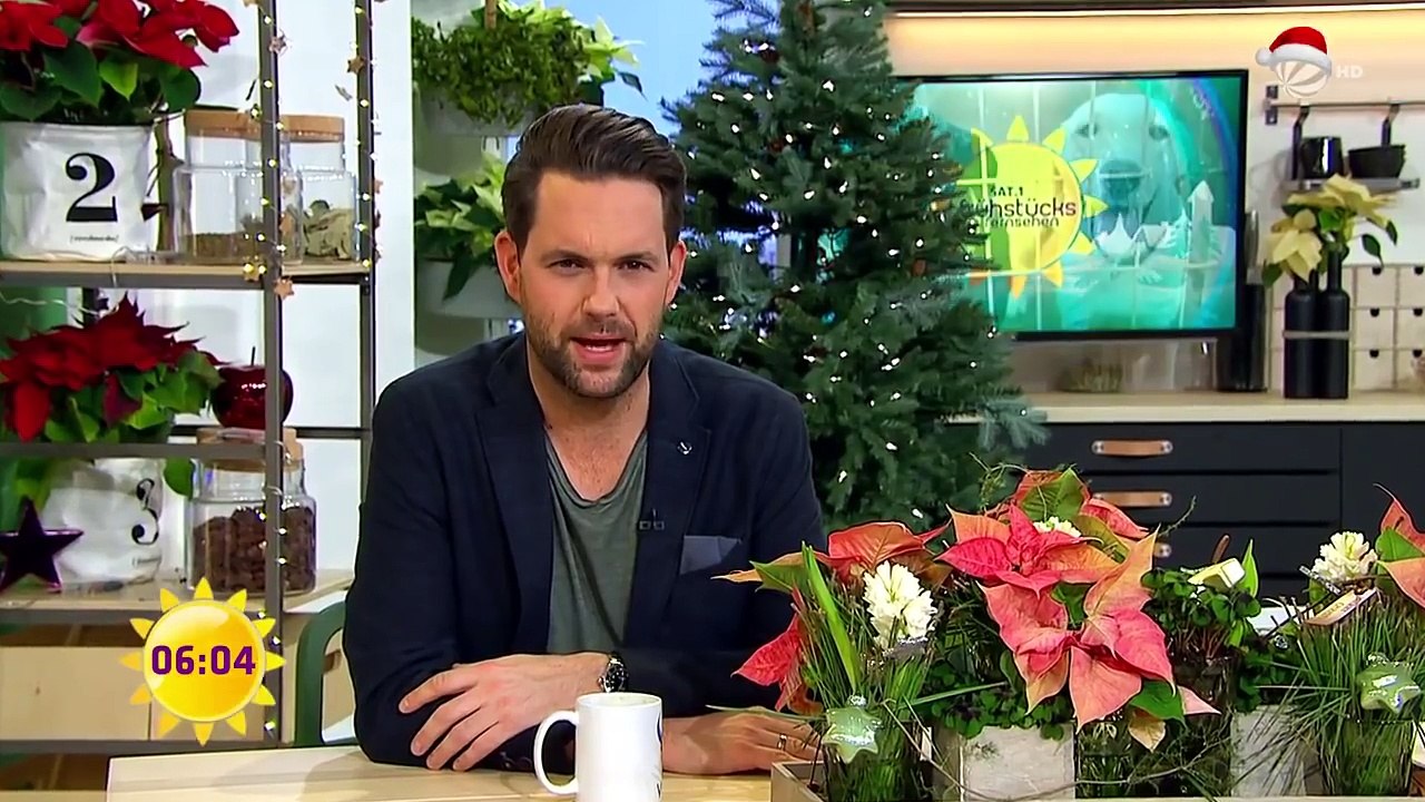 Schrecklich: DIE HUNDE-TÖTUNGSSTATION | SAT.1 Frühstücksfernsehen | TV