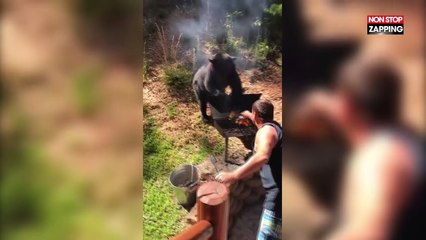 Un homme se bat avec un ours pour protéger son barbecue (vidéo)