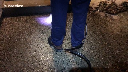Saskatchewan man melts ice on path with blowtorch after freezing rain