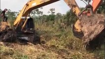 117.Idiots Operator Dump Truck Heavy Equipment Fails & Skills