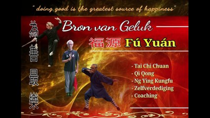 Tai Chi lessen Apeldoorn Yang Small Circle Vorm