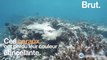 Le blanchissement des coraux s'accélère