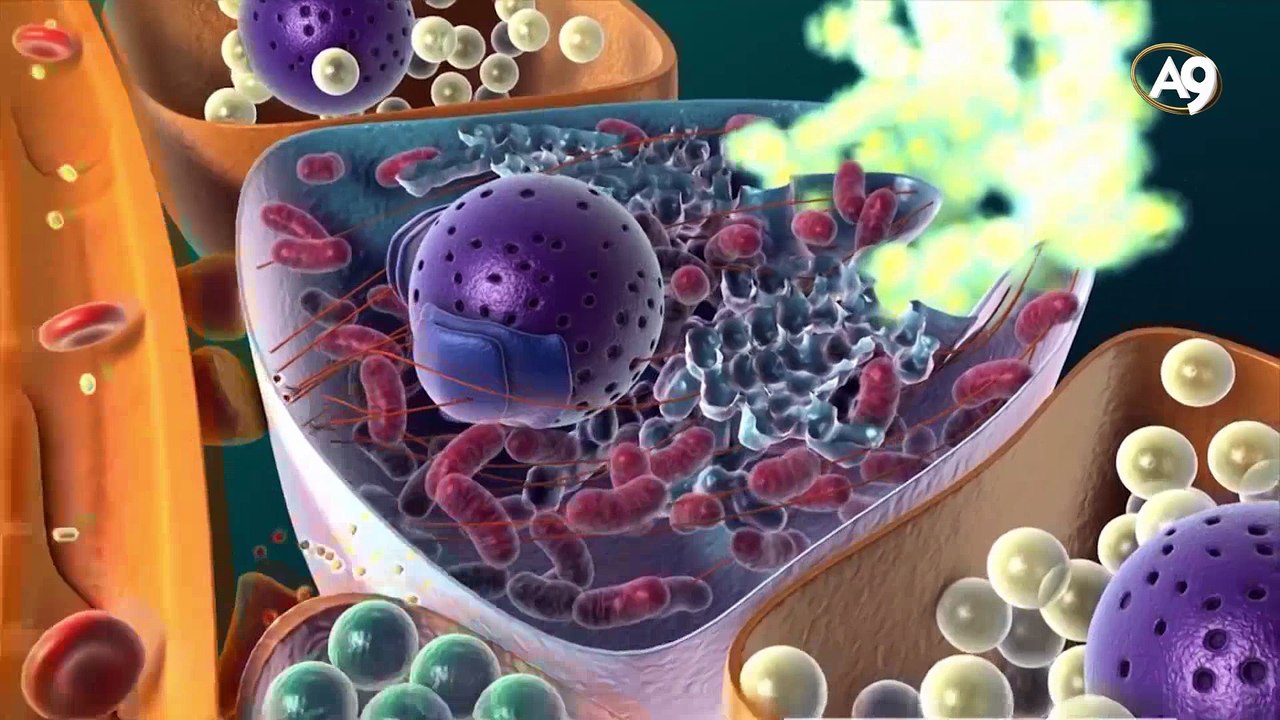 Öğütme makinesindeki yaratılış