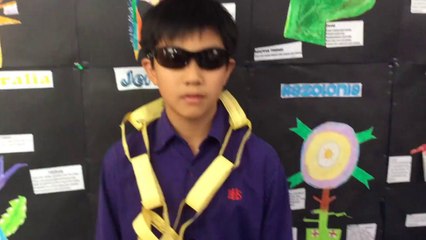 Hong Kong Uber Drivers Very Super GET OUT with subtitles(S1, E1)