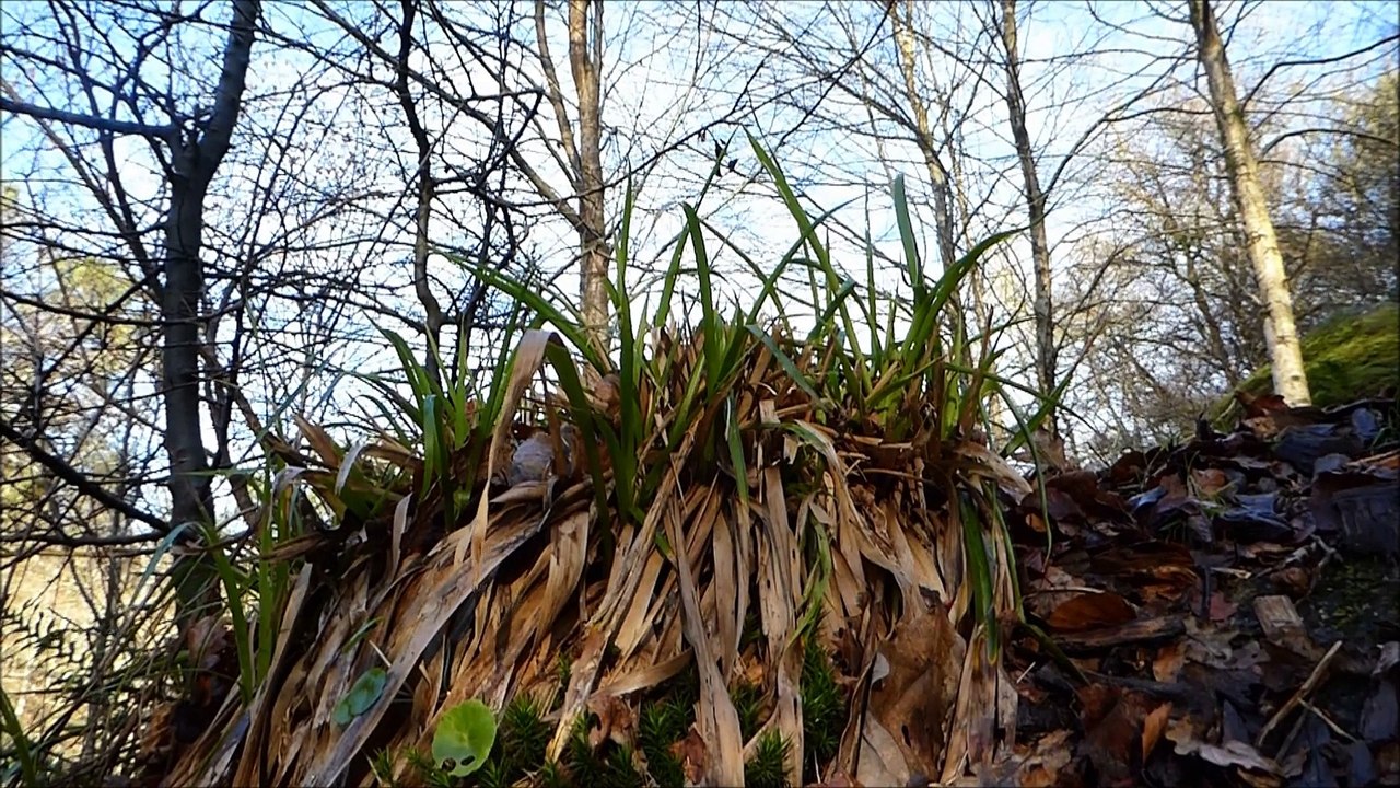 Je suis un cadeau foulé aux pieds