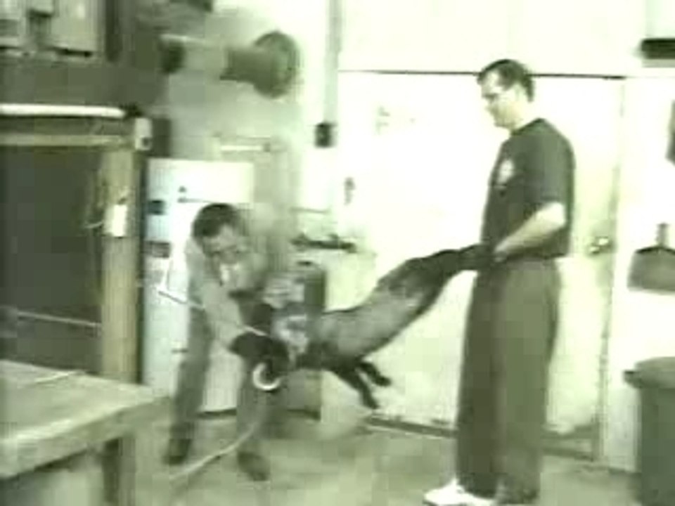 Behind the mask - animal liberation front goldfinger