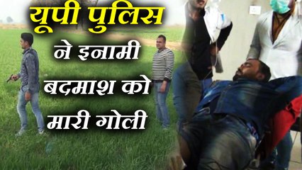 'ऑपरेशन क्लीन': यूपी पुलिस ने 50 हजार के इनामी बदमाश को मारी गोली