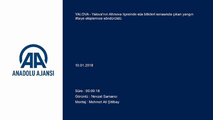 Süs bitkileri serasında yangın - YALOVA