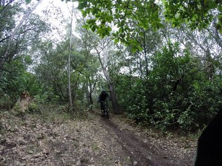 Rando Routards/Vététistes du 7/01/2018