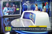 Lince: denuncian matanza masiva de gatos en parque Castilla