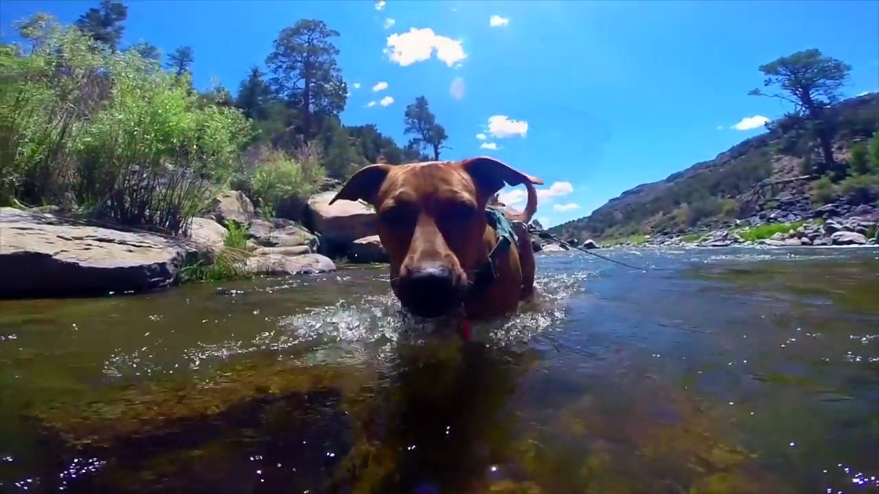 PREPARING for QUARTZSITE  Tips for Boondocking in Quartzsite, Arizona  RV Living Full Time