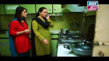 Mein Mehru Hoon Ep 31 - on ARY Zindagi in High Quality 10th January 2018