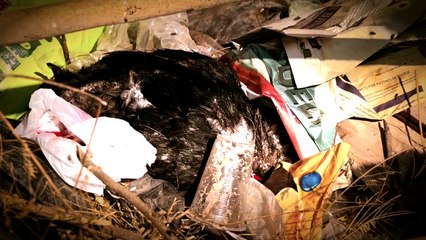 Como si se lo hubiera tragado la tierra, el director de fiscalización, Andrey García, se encuentra desaparecido desde ha