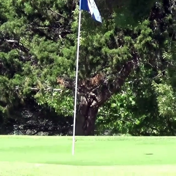 Un enfant de 5 ans joue au golf