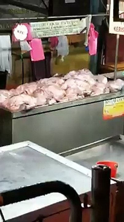 马来西亚槟城大山脚市区巴刹出现老鼠爬上鸡肉档口偷吃肉鸡的恶心一幕！