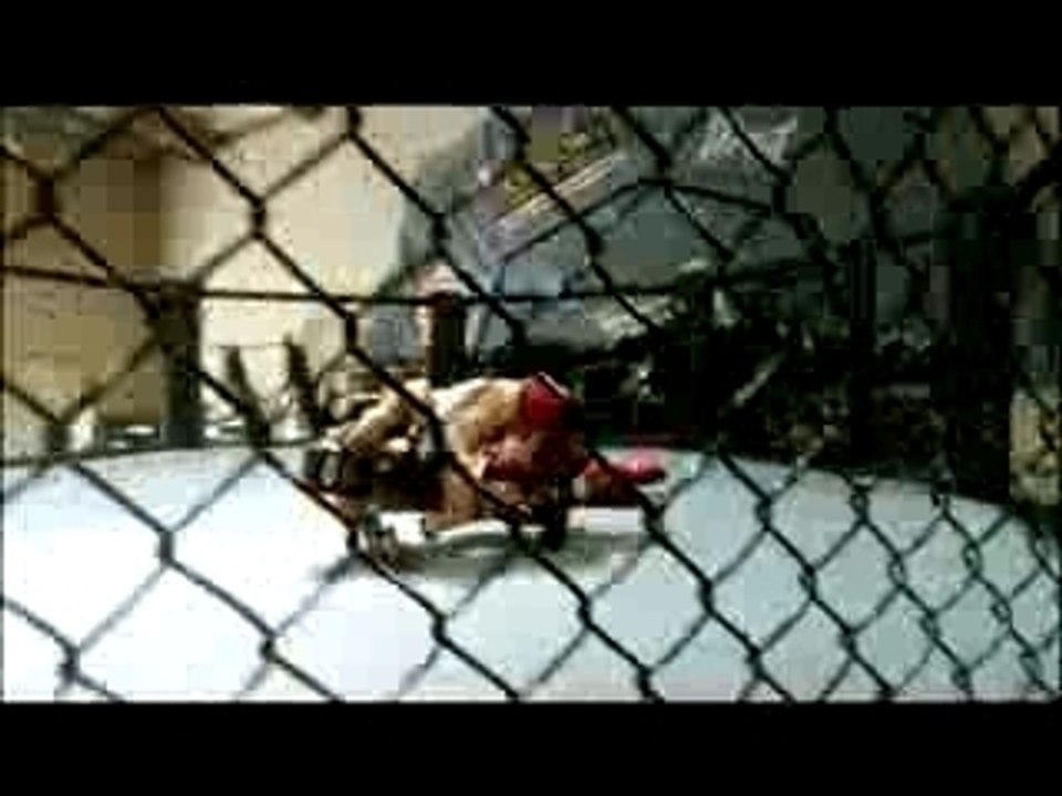 Outlast