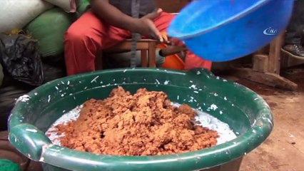 - Kongo Gençleri Briket Üretimiyle Ormanları Koruyor