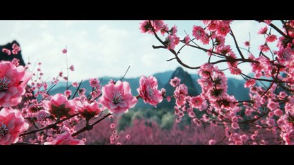 Total War Three Kingdoms - Cinématique