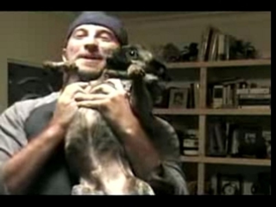 The dog urinates in the mouth of the owner