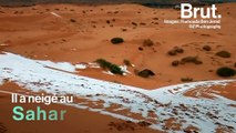Il a neigé au Sahara, le désert le plus chaud du monde