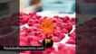 Ripe Cranberries | Food Facts | Poulsbo Restaurants