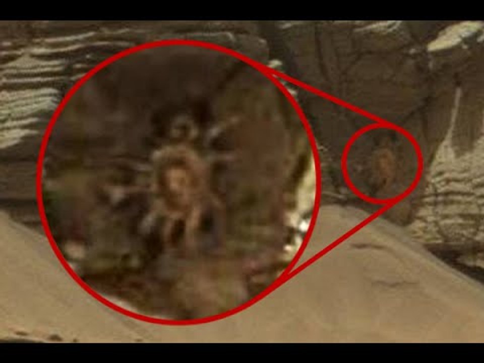 9 Strangest Things Spotted On Mars