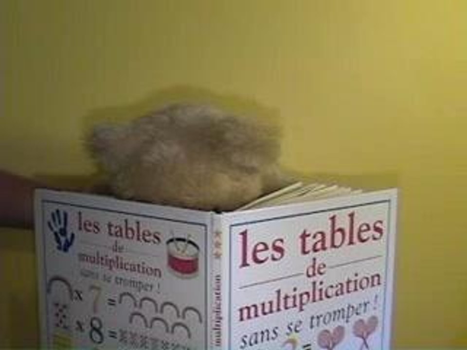 Grumly - Nul en math