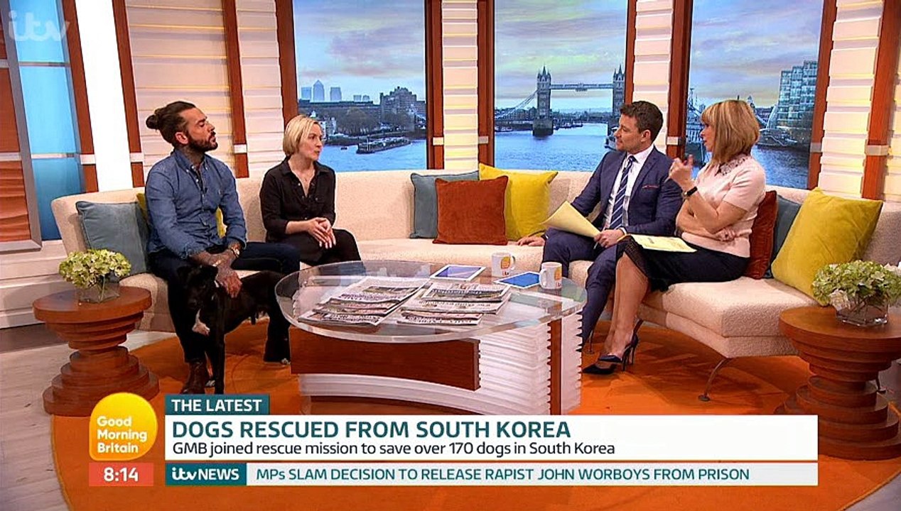 ITV_Good Morning Britain 8Jan18 - saving South Korean dogs from the meat trade