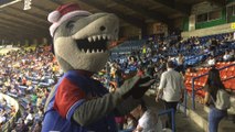 Tibu, la mascota de la fanaticada más alegre del beisbol