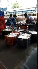 Food Served on Indian Trains. The Reality