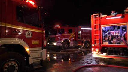 Denizli’de 4 iş yerinin kül oldu... Yangında köpek mahsurkalan kaöpeği sahibi kurtardı