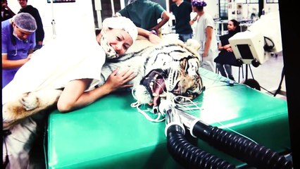 DEPOIMENTOS Q48 Luciana Kinoshita - COMO EMAGRECER RAPIDO COM EXERCICIOS DA Q48