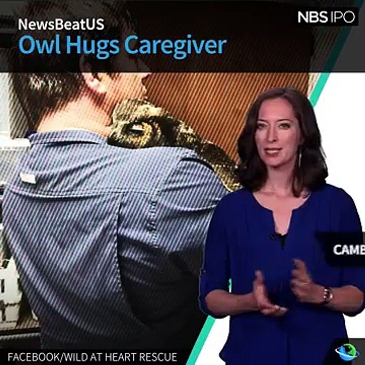 Great Horned Owl in Mississippi Appears to Hug Man Who Nursed her Back to Health