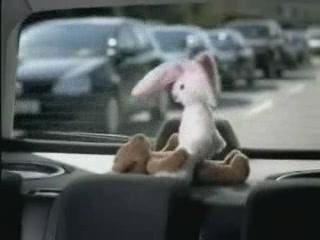 Lapin et ours en train de copuler