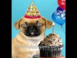 Pug Sings Happy Birthday - Hilariously Funny Dog Video Ecard