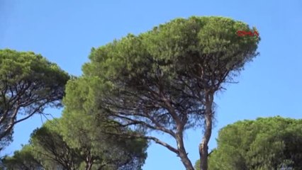 Bodrum Gökgedik Köylülerini Sevindiren Karar 2
