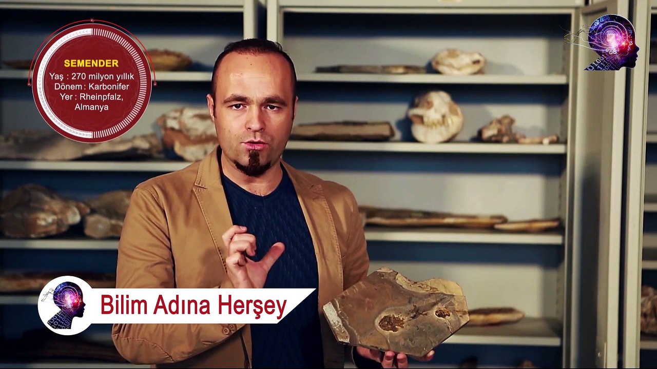Paleontologların İlgi Odağı Olan Süper Canlı