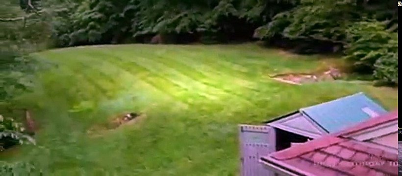 Rev Runs Renovation S02E08 – Miley Branches Out [Full Episode]