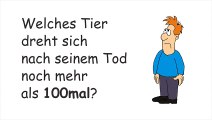 Welches Tier dreht sich nach seinem Tod noch mehr als 100mal