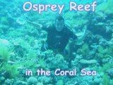 Coral Sea 5 Day Dive Trip departing from Cairns Queensland