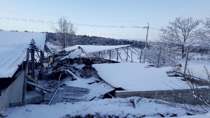 전북 사흘간 폭설...퇴비저장 건물 무너져 / YTN