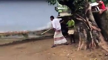 the man and bull fight ,very dangerous