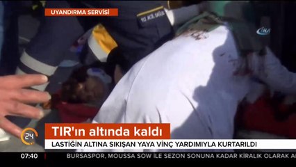 Vinç yardımıyla kurtarıldı
