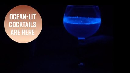 That ocean bioluminescence? It can now light your drink