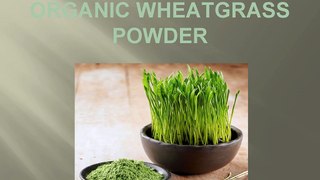 Do_You_Know_About_Amazing_Superfood_Organic_Wheatg